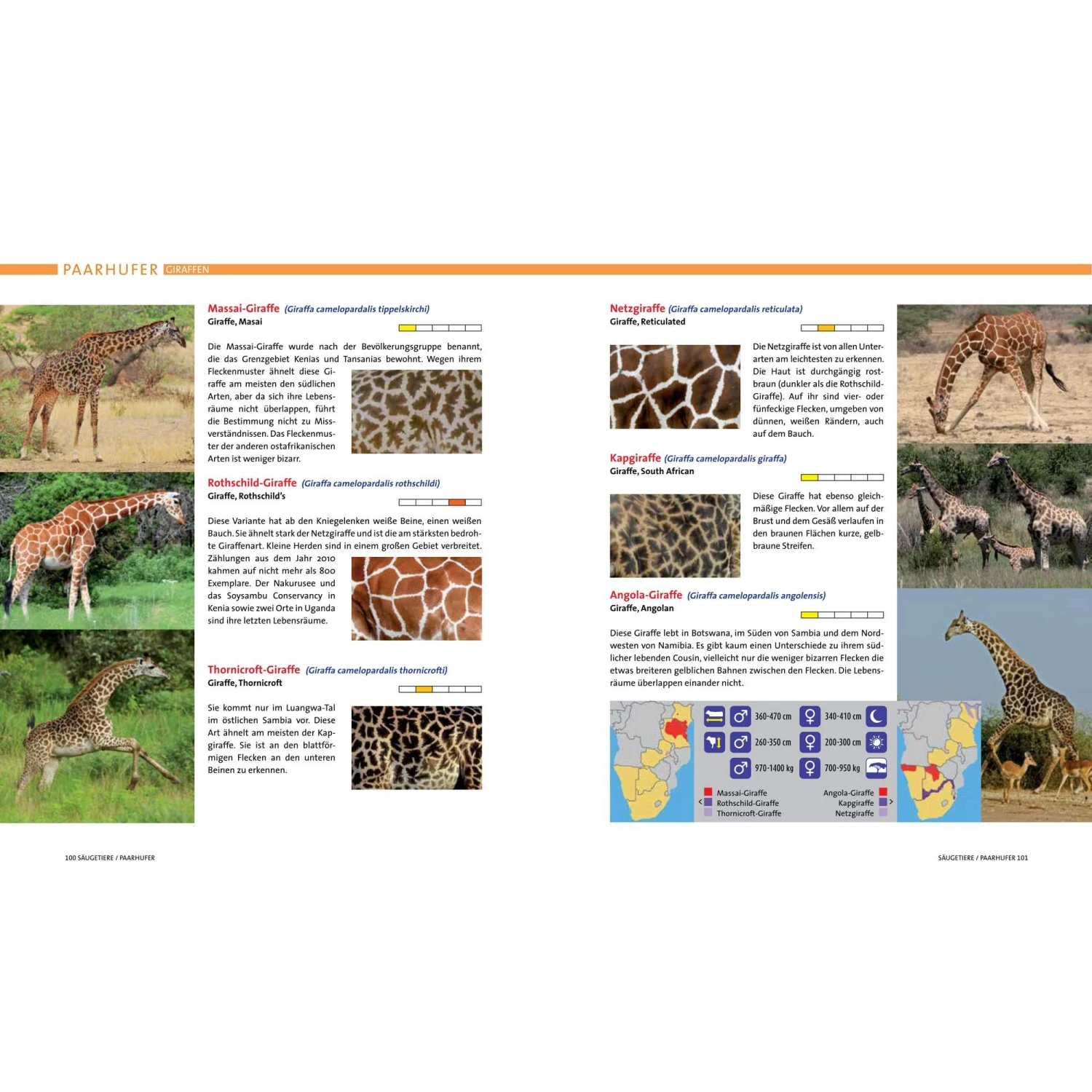 AFRIKA SAFARI REISEFÜHRER - Reiseführer 3 AFRIKA SAFARI REISEFÜHRER - Reiseführer - Image 3