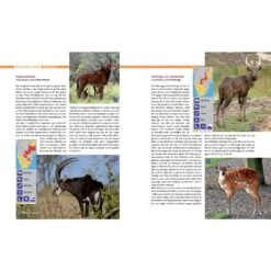 AFRIKA SAFARI REISEFÜHRER - Reiseführer 8 AFRIKA SAFARI REISEFÜHRER - Reiseführer -Campingbedarf Geschäft 5637362886 d afrika safari reisefuehrer 24