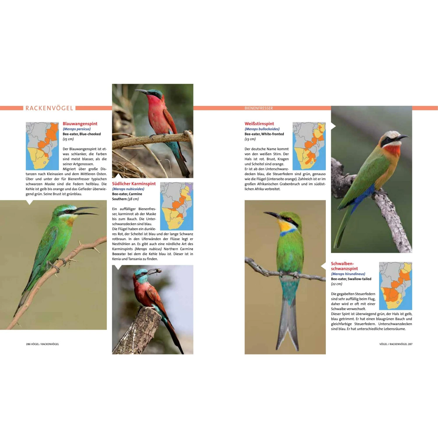 AFRIKA SAFARI REISEFÜHRER - Reiseführer 5 AFRIKA SAFARI REISEFÜHRER - Reiseführer - Image 5