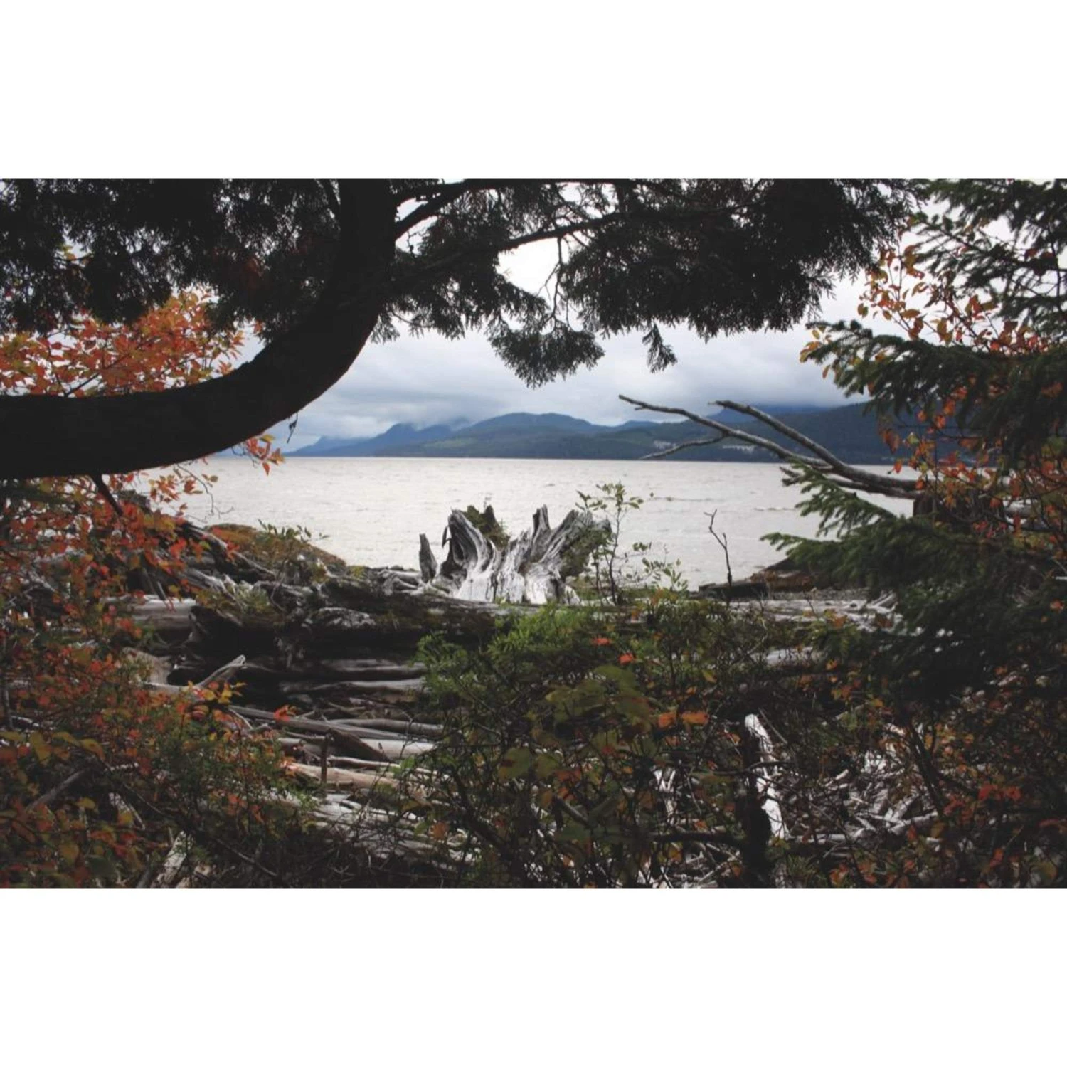 Die Hoffnung Und Der Wolf - Reisetagebuch 2 Die Hoffnung Und Der Wolf - Reisetagebuch - Image 2