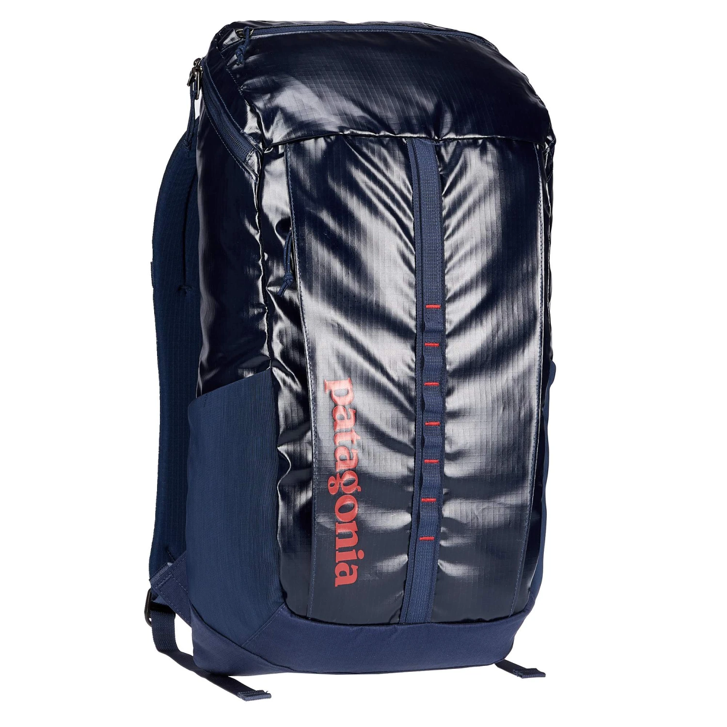 Patagonia BLACK HOLE PACK 25L Unisex - Tagesrucksack 1 Patagonia BLACK HOLE PACK 25L Unisex - Tagesrucksack